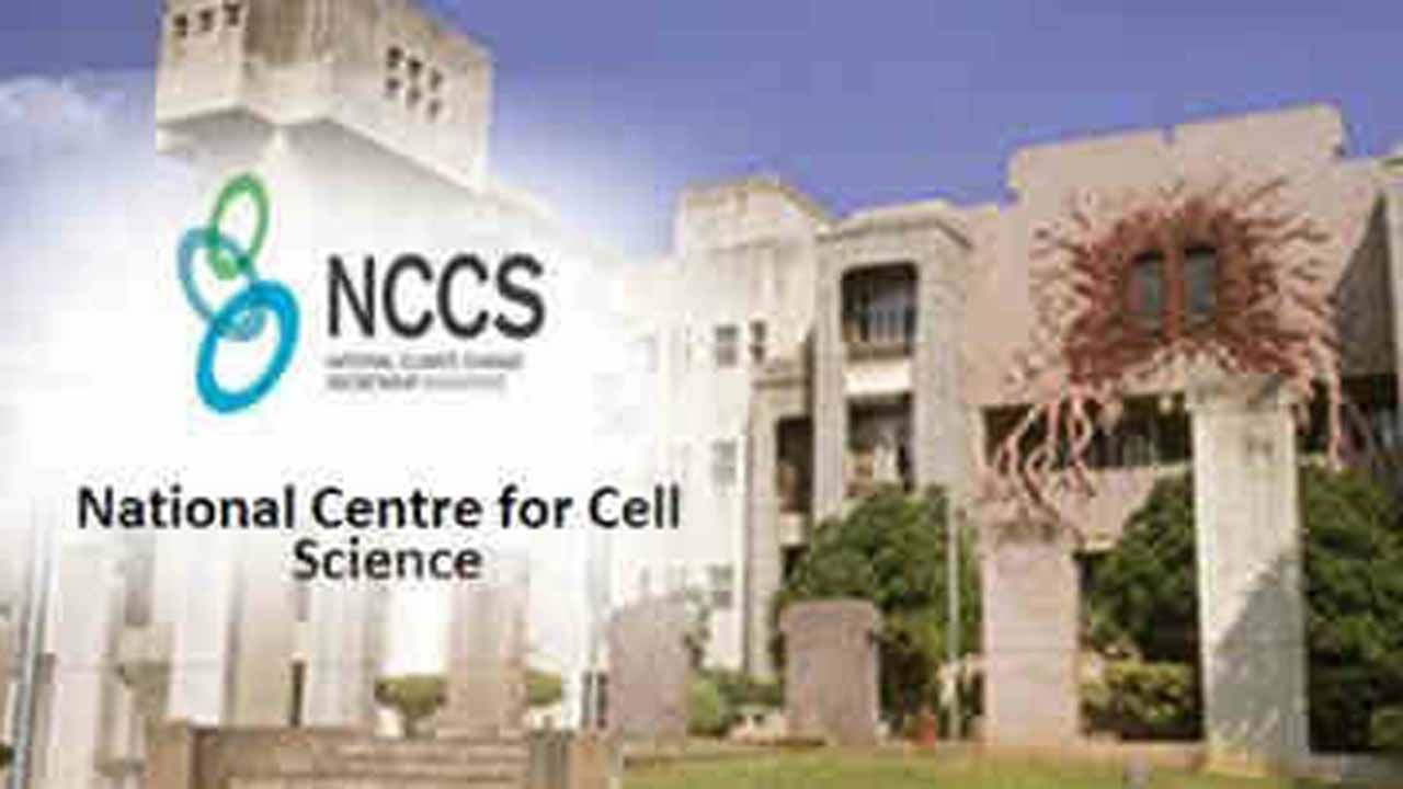 NCCS Recruitment 2022: ఇంటర్వ్యూ ద్వారా ఎంపిక.. నేషనల్ సెంటర్‌ ఫర్‌ సెల్‌ సైన్స్‌లో ఉద్యోగాలు.. నెలకు రూ.90 వేల జీతం