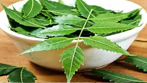 Seasonal Diseases: వర్షాకాలంలో వేప ఆకులతో ఇలా చేస్తే ఆ సమస్యలన్నీ హాంఫట్..