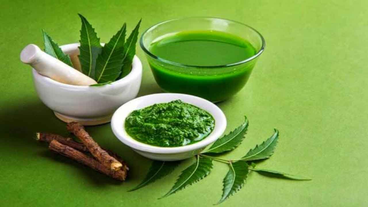 Neem Benefits వేప ఆకులతో ఇలా చేశారంటే.. జుట్టు సమస్యలన్నీ పరార్‌! Telugu News Neem Benefits