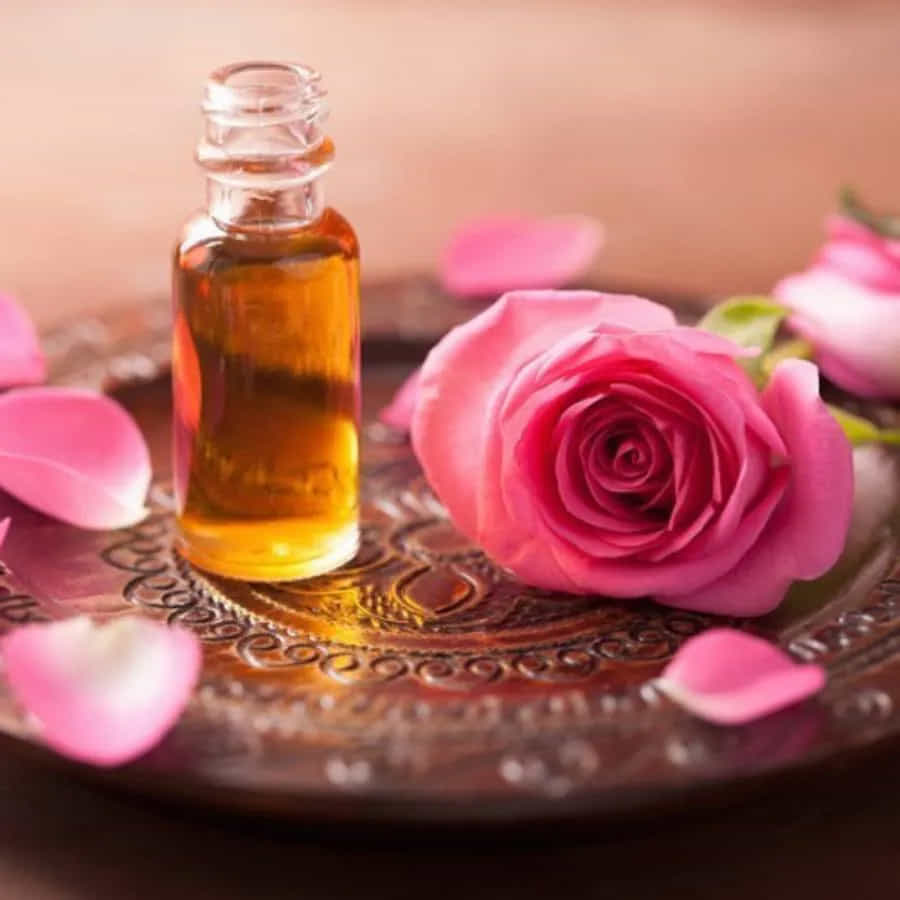 రోజ్ ఆయిల్ : ఈ ఆయిల్ పెర్ఫ్యూమ్ గా కూడా ఉపయోగించవచ్చు. ఈ సువాసన శక్తిని ఇవ్వడంతో పాటు మంచి అనుభూతిని కూడా అందిస్తుంది. దీన్ని రోజూ ఉపయోగించవచ్చు.