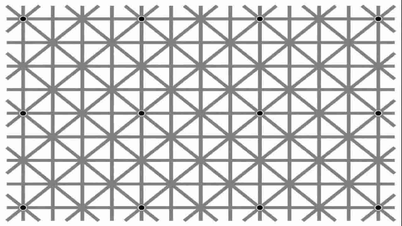 Optical Illusions: ఈ చిత్రంలో గీతల మాటున దాగున్న 12 చుక్కలు.. కనిపెడితే మీరు తోపు అంతే..