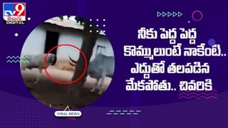 Viral Video: మానవత్వం అంటే ఇదే కదా.. వృద్ధురాలి కోసం కారు దిగి కదిలొచ్చిన యువకుడు..