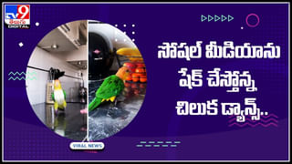 Python Viral Video: వామ్మో.. ఇంత పెద్ద పైథాన్‌ను జీవితంలో చూసుండరు.. ఒళ్ళు గగుర్పొడిచే వీడియో..