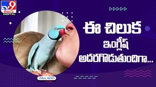 Viral Video: అమాంతం బైక్ తో సహా కారును గుద్దేశాడు.. క్షణాల్లో గాల్లోనే కలిసిపోయిన ప్రాణాలు