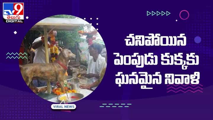చనిపోయి పెంపుడు కుక్కకు వర్ధంతి !! ఊళ్లో అందరికీ భోజనంలు పెట్టి మరీ !! చనిపోయి పెంపుడు కుక్కకు వర్ధంతి !! ఊళ్లో అందరికీ భోజనంలు పెట్టి మరీ !!