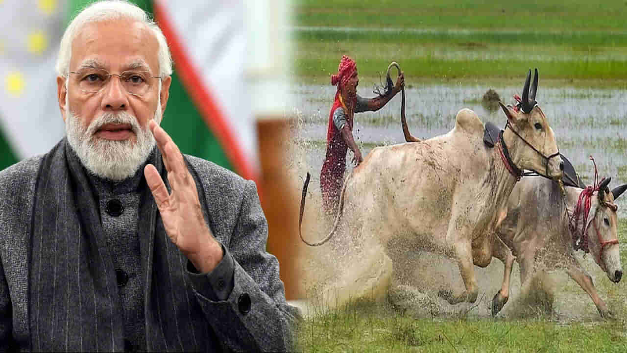 PM Kisan: రైతులకు గమనిక.. ఇక పీఎం కిసాన్ డబ్బులు వచ్చేది అప్పుడే.. లేటేస్ట్ అప్డేట్ మీకోసం..