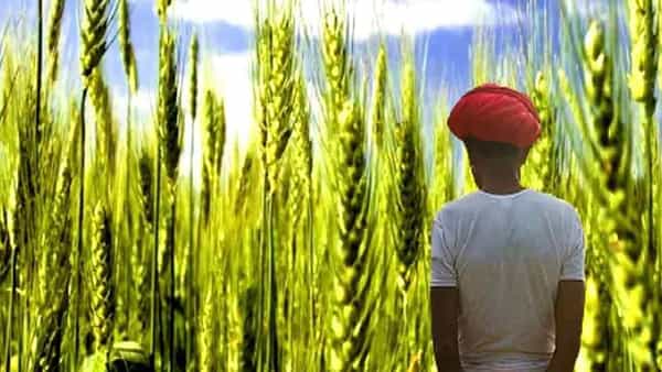 PM Kisan Yojana: ఈ రైతులకు ప్రధాన మంత్రి కిసాన్ సమ్మాన్ నిధి పథకం వర్తించదు..