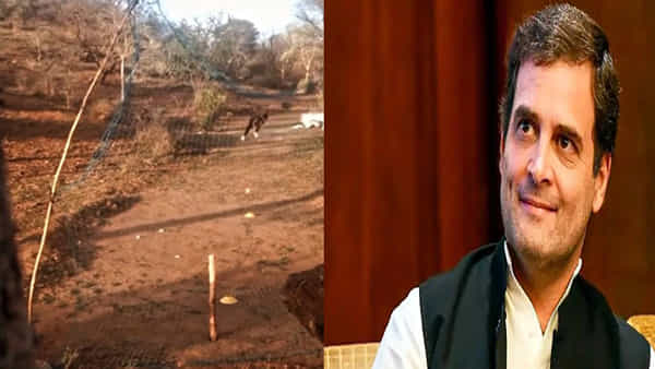 Rahul Gandhi: చేపల వలతో క్రికెట్ ప్రాక్టీస్.. కుర్రాడి ప్రతిభకు రాహుల్ ఫిదా.. సాయం చేయాలంటూ సీఎంకు వినతి