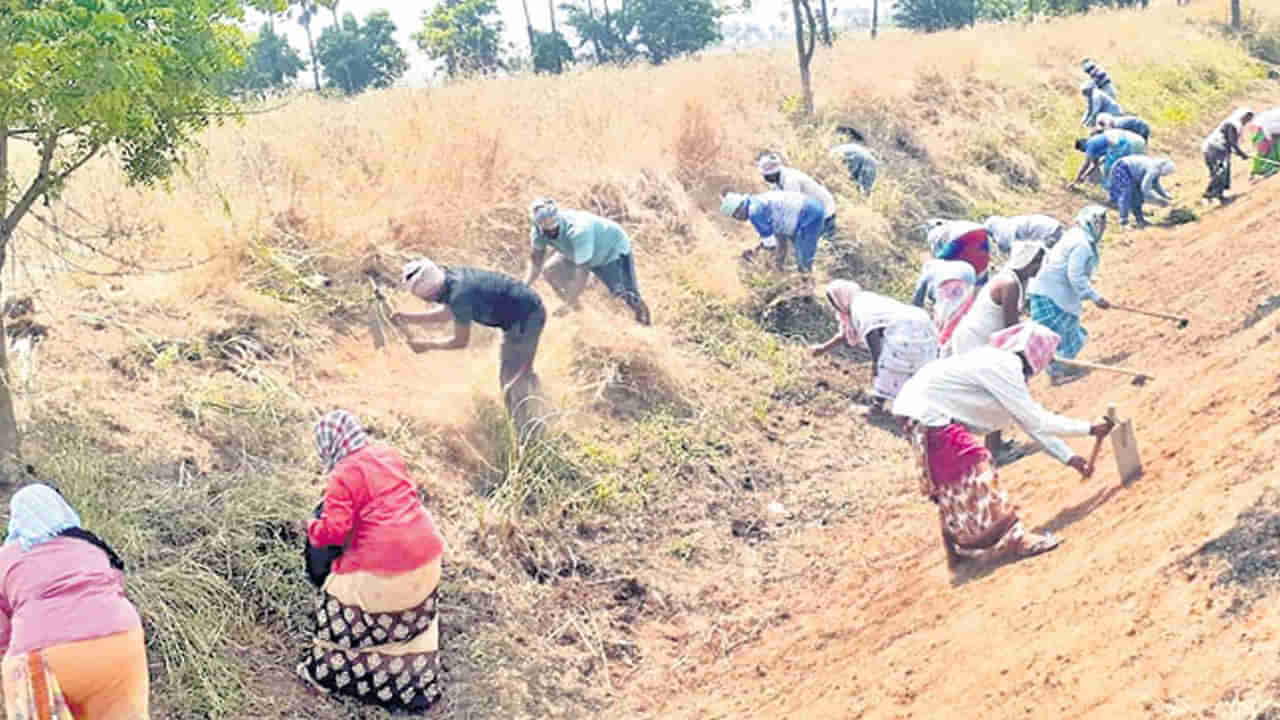 Viral: భూమిని తవ్వతుండగా గట్టిగా వినిపించిన శబ్ధం.. ఏంటా అని వెలికితీయగా అద్భుతం