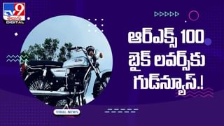 నగర రోడ్లపై గుర్రంపై దూసుకుపోతున్న డాగీ !! నెట్టింట వైరల్‌ అవుతున్న వీడియో