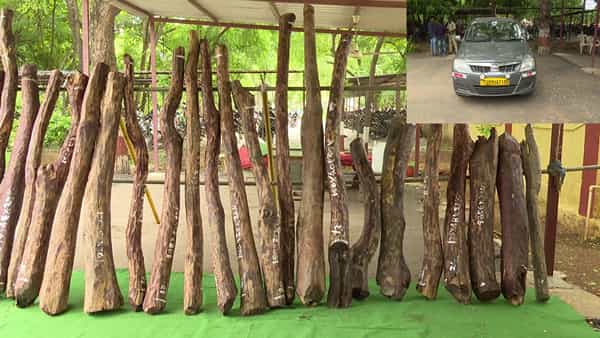 Red Smugglers Arrested: పుష్ప స్టైల్ కంటీన్యూ.. గోపవరంలో ఆరుగురు ఎర్రచందనం స్మగ్లర్లు అరెస్టు..
