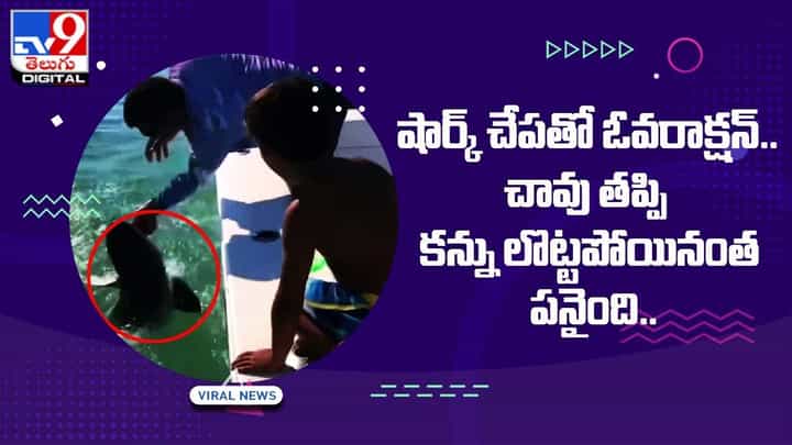 షార్క్ చేపతో ఓవరాక్షన్.. చావు తప్పి కన్ను లొట్టపోయినంత పనైంది షార్క్ చేపతో ఓవరాక్షన్.. చావు తప్పి కన్ను లొట్టపోయినంత పనైంది