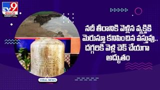 చెన్నైలో వింత ఘటన !! చెస్‌ బోర్డ్‌లా మారిపోయిన నేపియర్‌ బ్రిడ్జ్‌