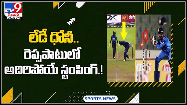 Lady Dhoni: లేడీ ధోనీ.. రెప్పపాటులో అదిరిపోయే స్టంపింగ్.! ఒక్కసారిగా అందరూ షాక్..! వీడియో వైరల్.. Lady Dhoni: లేడీ ధోనీ.. రెప్పపాటులో అదిరిపోయే స్టంపింగ్.! ఒక్కసారిగా అందరూ షాక్..! వీడియో వైరల్..