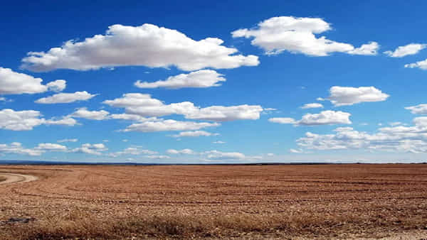 Sky Blue Colour: ఆకాశం ఎప్పుడూ నీలం రంగులో ఎందుకు కనిపిస్తుంది.. దాని వెనుక ఉన్న సైన్స్ ఏమిటి?
