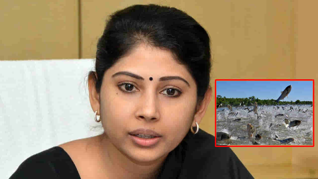 Viral Video: జలకాలాటల్లో జలపుష్పాలు.. కనువిందు చేసే దృశ్యాలు.. షేర్ చేసిన స్మితా సబర్వాల్