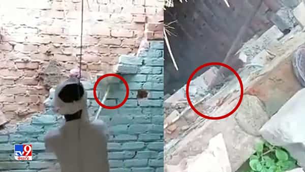 Viral Video: గోడ నుంచి వింత శబ్దాలు.. ఏంటా అని బద్దలు కొట్టి చూడగా మైండ్ బ్లాంక్!