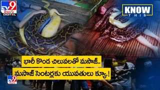 Viral: ఆవుల మందను ఢీకొడుతున్న పక్షి.. వీడియో చూస్తే దడదడే