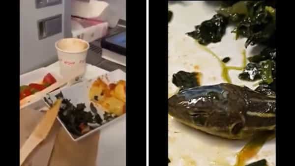 Viral Video: భోజనంలో పాము తల.. ఖంగుతిన్న విమాన సిబ్బంది.. వీడియో చూస్తే గుండె గుభేల్.. వైరల్ వీడియో