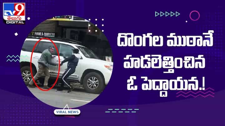 దొంగల ముఠానే హడలెత్తించిన ఓ పెద్దాయన.. దెబ్బకు తోకముడిచిన గ్యాంగ్ దొంగల ముఠానే హడలెత్తించిన ఓ పెద్దాయన.. దెబ్బకు తోకముడిచిన గ్యాంగ్