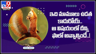 Man – Goat: మేకపోతుతో మనిషి ఢీ అంటే ఢీ.. పోటాపోటీగా ఎదురుపడుతున్న మేక.. వైరల్‌ అవుతున్న సూపర్‌ వీడియో