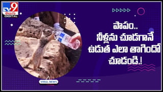 Pakistan Woman: భర్త బౌలింగ్‌ భార్య వరుస సిక్సర్లు.! చూస్తున్న వారికీ కన్నుల పండగే..