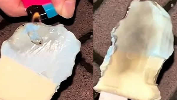 Strange Ice Cream: ప్రపంచంలోనే ఇదో వింత ఐస్ క్రీం.. నిప్పుపెట్టినా కరగదు.. ధర ఎంతో తెలిస్తే షాకే!