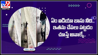 Viral Video: గోవింద- కరిష్మా సాంగ్‌తో అదరగొట్టిన కొత్త జంట.. పెళ్లి మండపం హోరెత్తిపోయింది..!