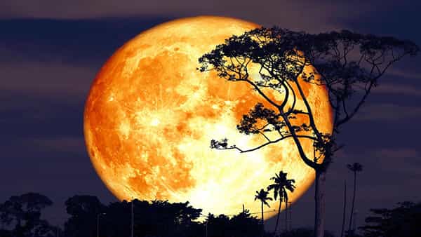 Supermoon 2022: మరోసారి కనువిందు చేయనున్న అతిపెద్ద సూపర్మూన్..ఎప్పుడు, ఎలా చూడాలంటే..?
