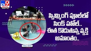 Viral: ఈ చిలుక ఇంగ్లీష్‌ ముద్దుగా ముద్దుగా మాట్లాడుతూ అదరగొడుతుందిగా.. వీడియో చూస్తే ఫిదా అవ్వాల్సిందే