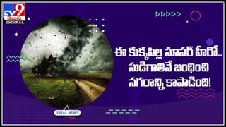 Leopard: బావిలో చిరుత.. హరప్పా టెక్నాలజీతో రెస్క్యూ.! వైరల్‌గా మారిన వీడియో