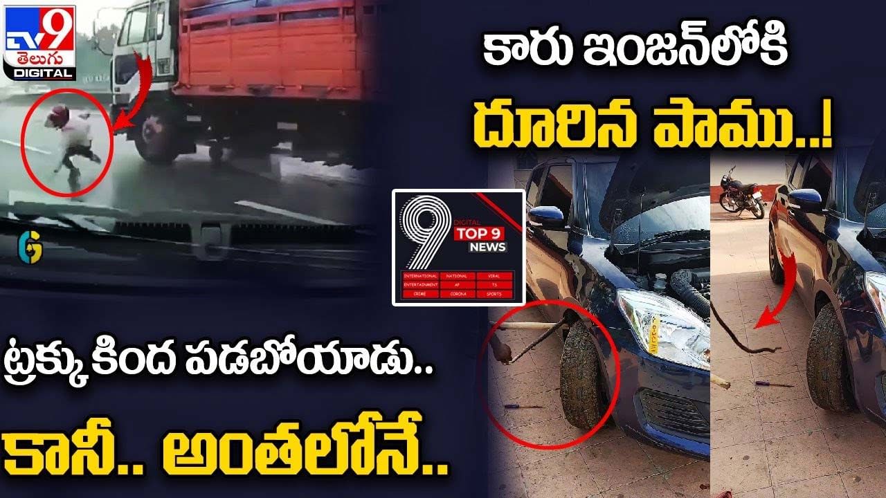 Digital TOP 9 NEWS:  ట్రక్కు కింద పడబోయాడు.. కానీ.. అంతలోనే.. | కారు ఇంజన్‌లోకి దూరిన పాము