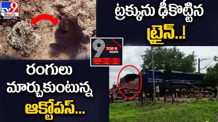 Digital TOP 9 NEWS: రంగులు మార్చుకుంటున్న ఆక్టోపస్ | ట్రక్కును ఢీకొట్టిన ట్రైన్..! Digital TOP 9 NEWS: రంగులు మార్చుకుంటున్న ఆక్టోపస్ | ట్రక్కును ఢీకొట్టిన ట్రైన్..!