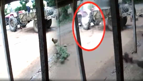 Viral: గాలి నింపుతుండగా భారీ శబ్దం.. కళ్లు తుడుచుకుని చూసేసరికి ఎదురుగా షాకింగ్ సీన్!