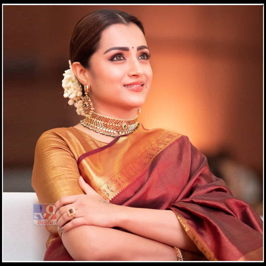 Trisha: కలువకళ్ల సుందరి త్రిష చీరకట్టు అందాలకి ఫ్యాన్స్ ఫిదా