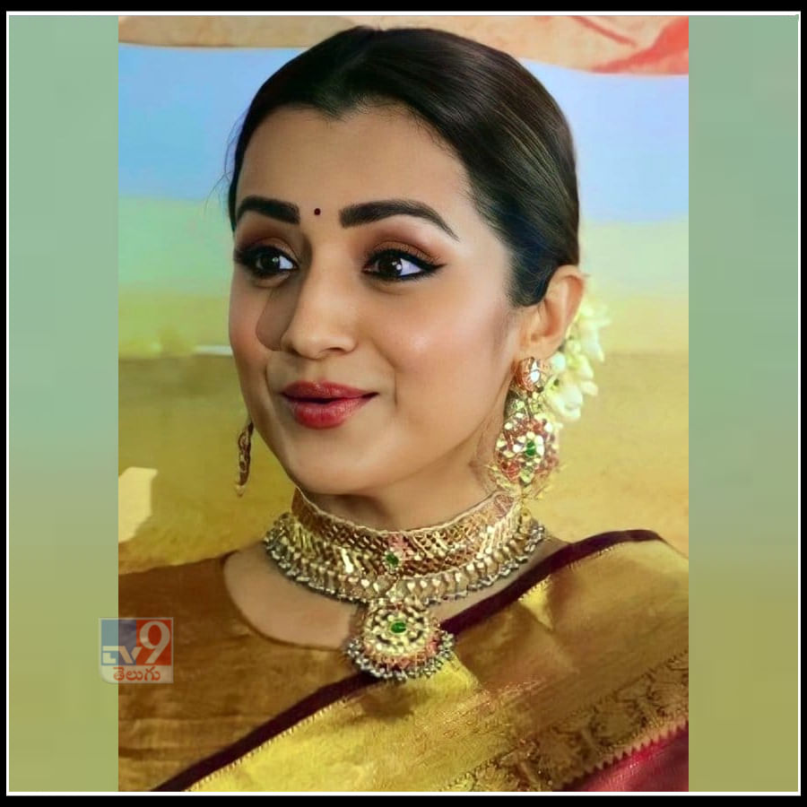 Trisha: కలువకళ్ల సుందరి త్రిష చీరకట్టు అందాలకి ఫ్యాన్స్ ఫిదా 