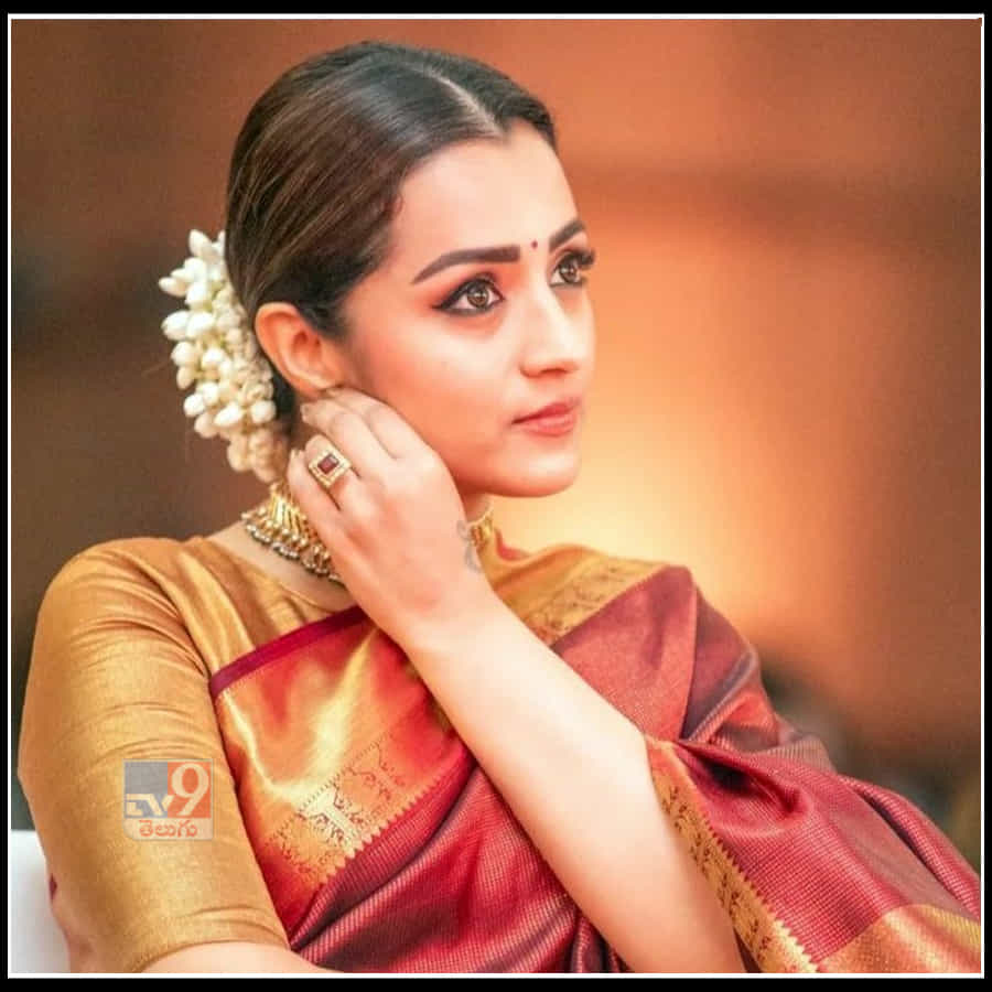 Trisha: కలువకళ్ల సుందరి త్రిష చీరకట్టు అందాలకి ఫ్యాన్స్ ఫిదా