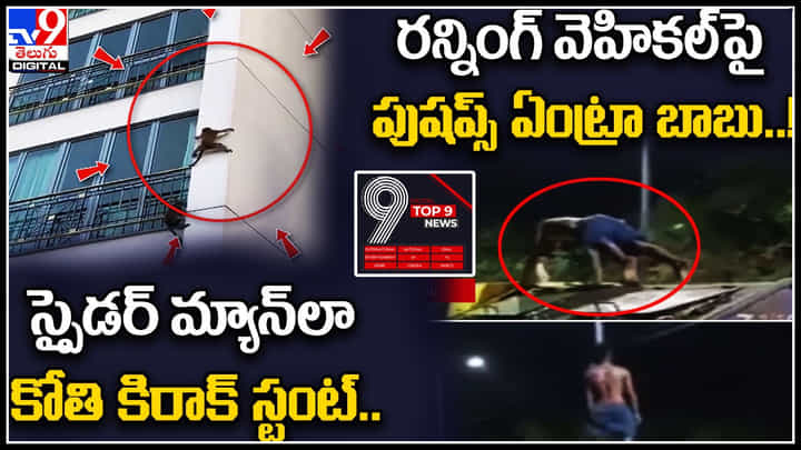 TV9 Digital TOP 9 NEWS: స్పైడర్ మ్యాన్లా కోతి కిరాక్ స్టంట్.. | రన్నింగ్ వెహికల్పై పుషప్స్.. TV9 Digital TOP 9 NEWS: స్పైడర్ మ్యాన్లా కోతి కిరాక్ స్టంట్.. | రన్నింగ్ వెహికల్పై పుషప్స్..