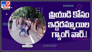 Viral: గ్రామంలో 2 పెంపుడు కుక్కలు మిస్సింగ్.. ఎంత వెతికినా దొరకలేదు.. కట్ చేస్తే..