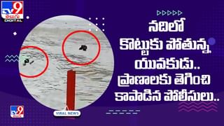 ప్రేమంటే ఇదేరా.. చెల్లెలి కోసం బుడ్డొడి సాహాసం.. వీడియో చూస్తే ఆశ్చర్య పోతారు అంతే..