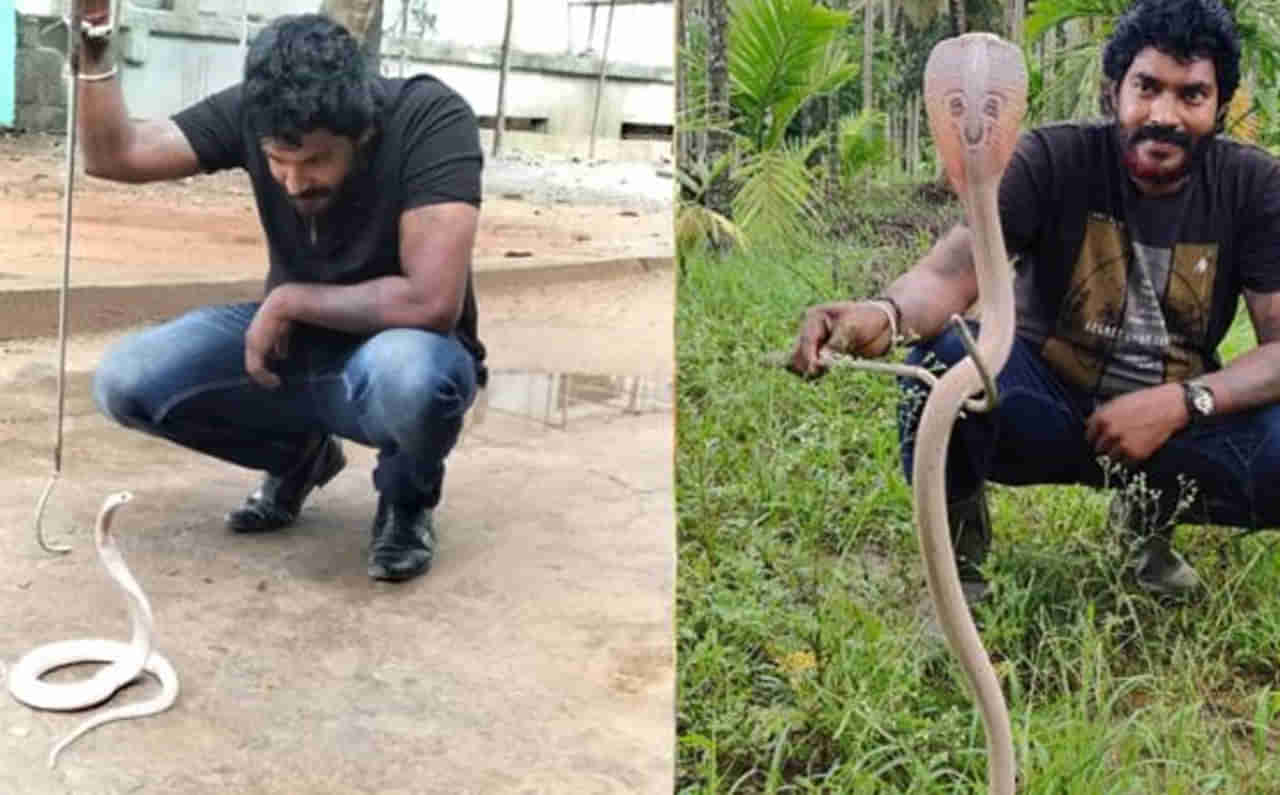 Viral: అత్యంత అరుదైన శ్వేతనాగు ప్రత్యక్షం... మీరెప్పుడైనా చూశారా.. ? పడగవిప్పి