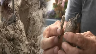 Viral Video: చేపలు ఇట్టా కూడా పడతారా తమ్ముడూ.. అసలైన జాతిరత్నం.. చూస్తే నవ్వాపుకోలేరు!