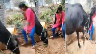 Viral Video: సరదాగా ఎంజాయ్ చేస్తోన్న కొత్త జంట.. ఒక్కసారిగా దూసుకొచ్చిన రాకాసి అలలు.. కట్ చేస్తే..