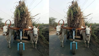 Bhadrachalam: భద్రాచలం ఆలయాన్ని తాకిన వరద.. 36 ఏళ్ల తర్వాత గోదావరి వారధిపై రాకపోకలు బంద్