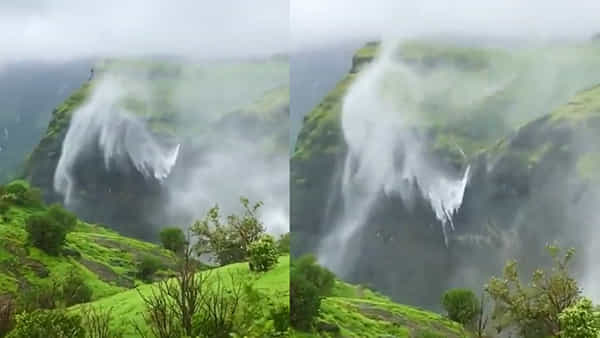 Viral Video: ఈ ప్రకృతి అందాన్ని వర్ణించడానికి మాటలు చాలవు.. వైరల్ అవుతోన్న వీడియో చూస్తే మీరూ ఇదే అంటారు..