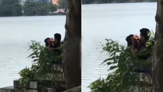 Crocodiles in Floods: వరదలు ఎంత పని చేసాయి రా..! ఇంట్లోకి వచ్చిన మొసళ్లు.. భయంతో పరుగులు..