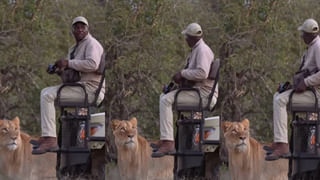 Viral Photo: బుర్ర హీటెక్కిపోద్ది.. ఈ ఫోటోలో పామును కనిపెడితే.. మీ ఐ పవర్ కెవ్వు కేక