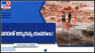 Tiger Viral Video: గౌరవనీయులైన  పులి గారి రాకతో నిలిపివేసిన ట్రాఫిక్‌..! అరుదైన వైరల్ వీడియో మీకోసం..