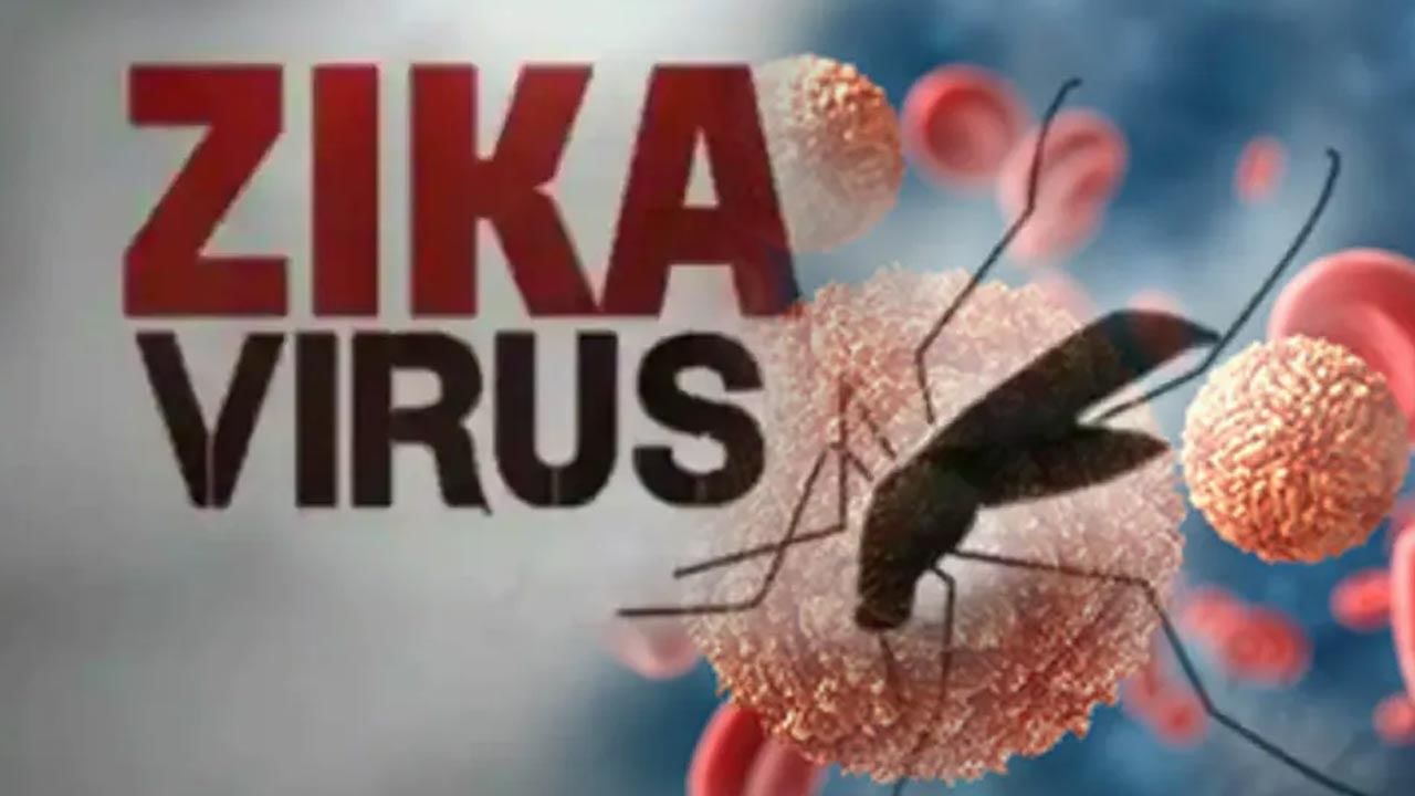 Zika Virus: అలర్ట్.. దేశంలో పెరుగుతున్న జీకా వైరస్ కేసులు.. తెలంగాణలోనూ వ్యాప్తి..