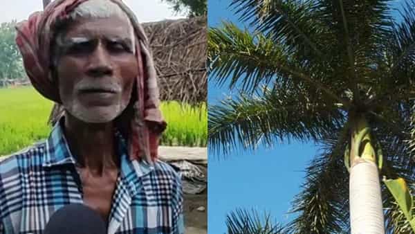 Viral: నెలరోజుల పాటు తాటిచెట్టుపైనే.. ఆహారం, కాలకృత్యాలతో పాటు అన్నీ అక్కడే.. కారణం తెలిస్తే షాక్ అవుతారు